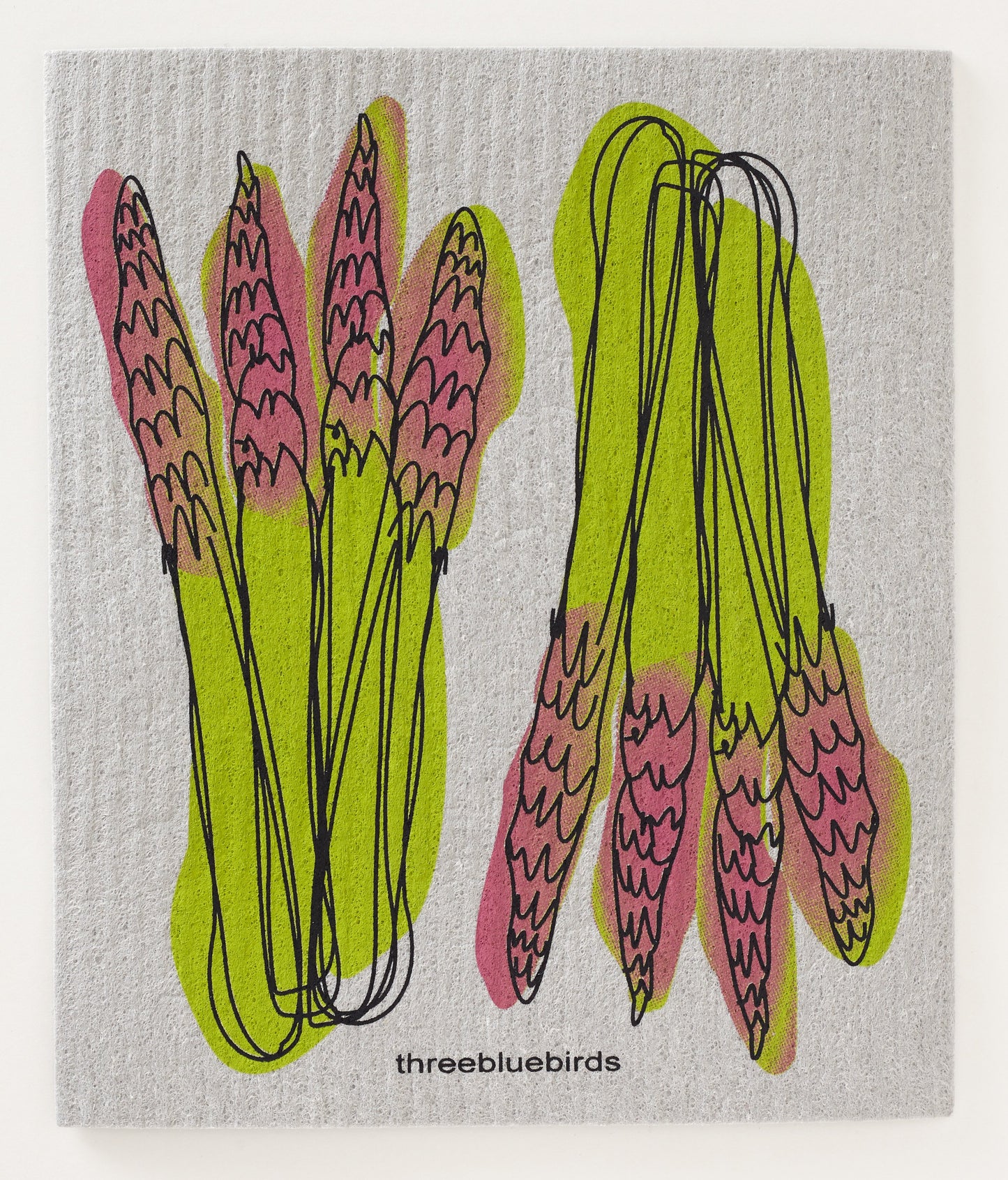 Asparagus on Grey Swedish Dishcloth