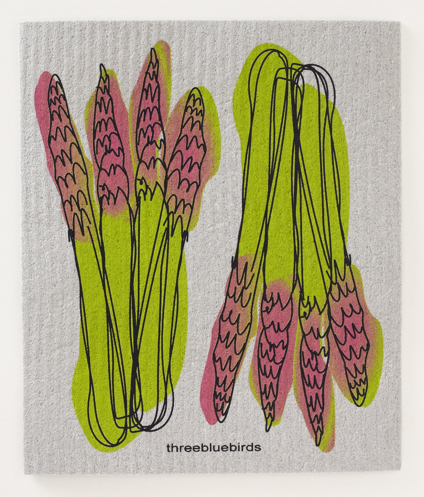 Asparagus on Grey Swedish Dishcloth