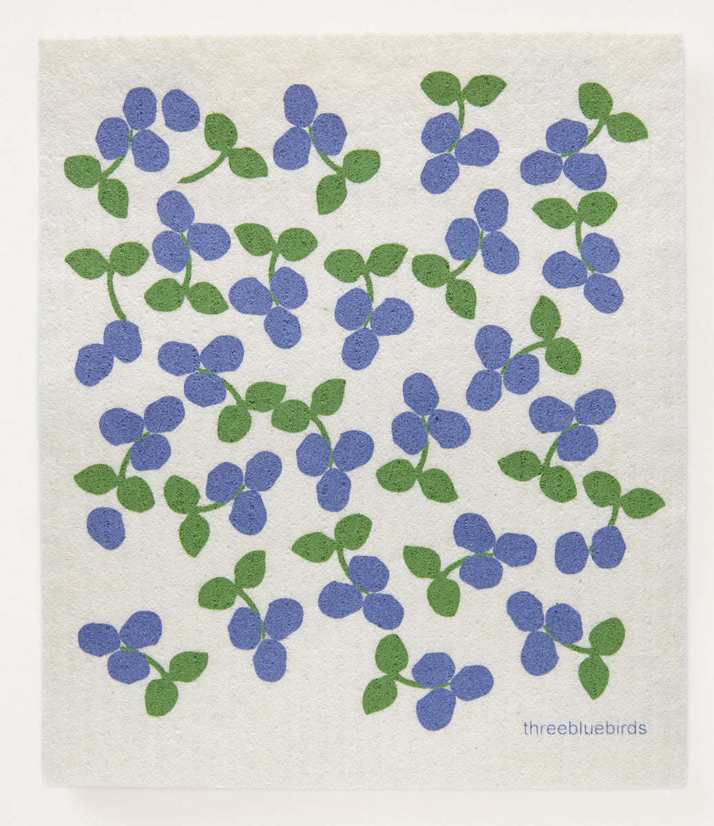 Fruits and Veggies Collection – Three Bluebirds Swedish Dishcloths